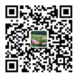 拱橋鎮人民政府1.jpg