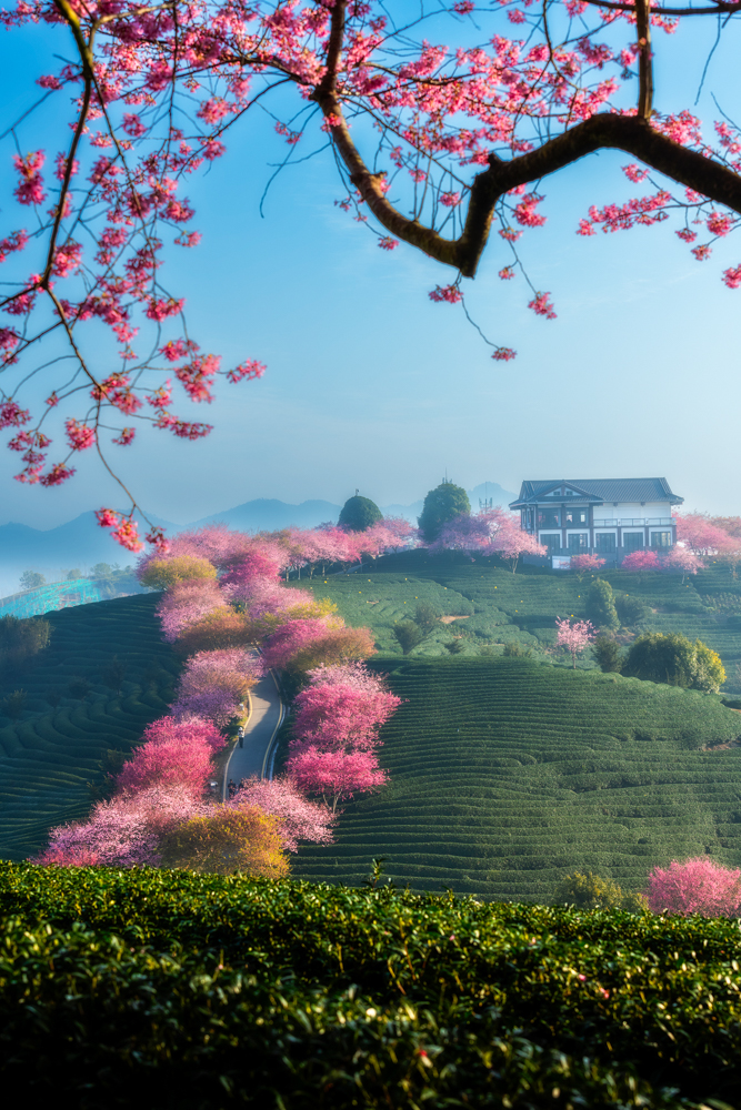《春色滿園關不住》華榮麗13959050619.jpg