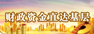財政資金直達基層.jpg